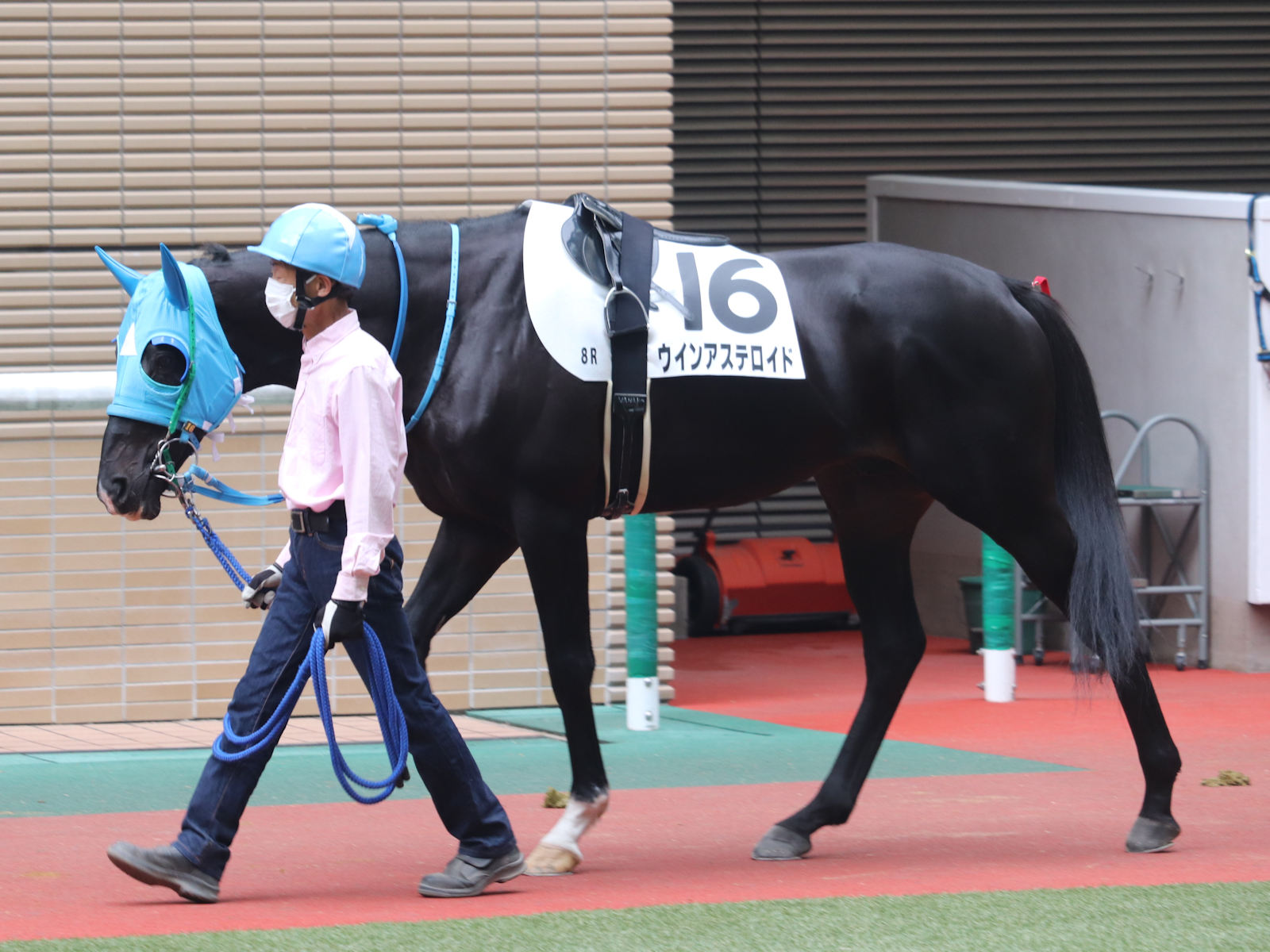 所属馬詳細 ウインレーシングクラブ